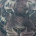 tattoos/ - tiny tiger - 48947